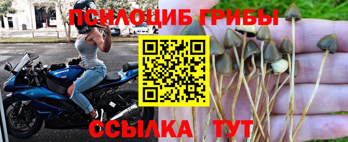 Галлюциногенные грибы прущие грибы  Вход с VPN  Дзержинский 