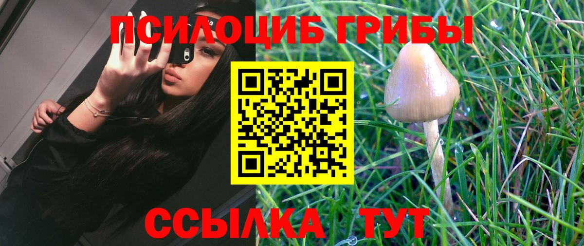 Галлюциногенные грибы Cubensis Дзержинский